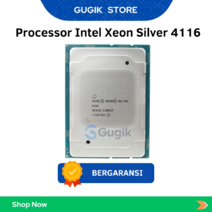 Processor Intel Xeon Silver 4116