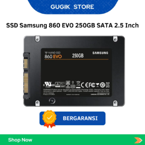 SSD Samsung 860 EVO 250GB SATA 2.5 Inch